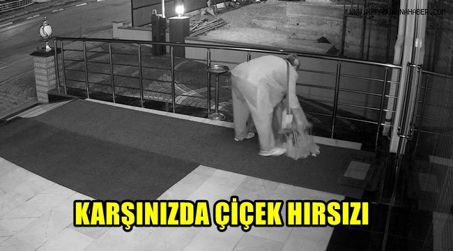 Karşınızda çiçek hırsızı