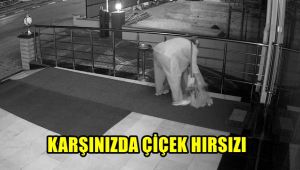 Karşınızda çiçek hırsızı