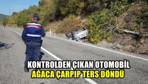 Kontrolden çıkan otomobil ağaca çarpıp ters döndü: 1 yaralı