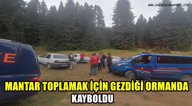 Mantar toplamak için gezdiği ormanda kayboldu