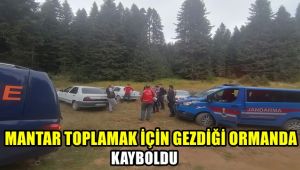 Mantar toplamak için gezdiği ormanda kayboldu