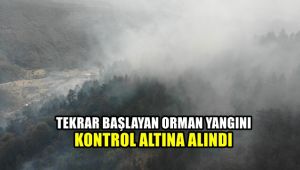 Tekrar başlayan orman yangını kısmi olarak kontrol altına alındı