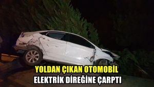 Yoldan çıkan otomobil elektrik direğine çarptı: 1 yaralı