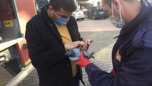 Ayağına ip dolanan güvercini itfaiye ekipleri kurtardı
