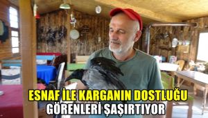 Esnaf ile karganın dostluğu görenleri şaşırtıyor