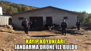 Kayıp koyunları jandarma drone ile buldu