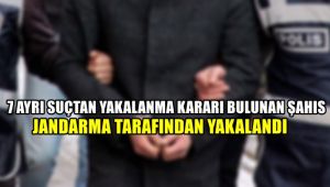7 ayrı suçtan yakalama kararı bulunan şahıs jandarma tarafından yakalandı