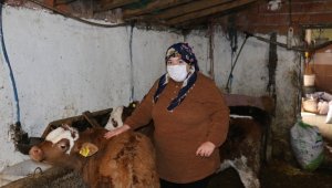 İŞKUR'un engellilere desteğiyle hayvan aldı, şu an çok mutlu
