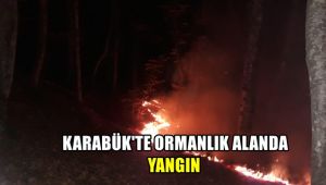 Karabük'te ormanlık alanda yangın
