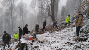 Karabük'te kar yağışına rağmen 5.5 ton kayın tohumu toprakla buluşturuldu