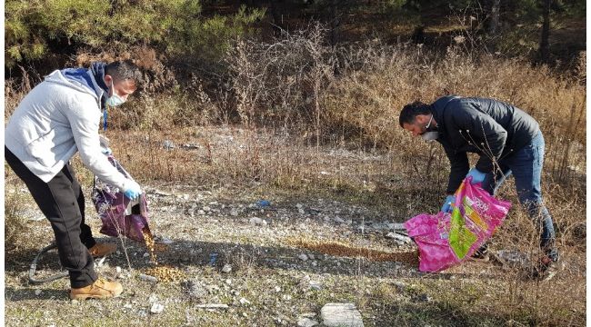 Sokak hayvanlarının aç kalmaması için 80 kişilik ekip kurdu