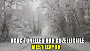 Ağaç tüneller kar güzelliği ile mest ediyor