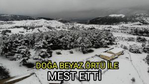 Doğa beyaz örtüyle mest etti