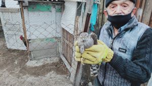 Girdiği kümes atmacanın sonu oluyordu
