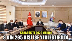Karabük'te 2020 yılında 3 bin 295 kişi işe yerleştirildi