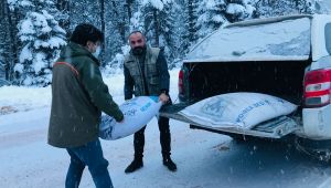 Karabük'te yaban hayatı unutulmadı