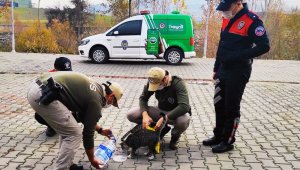 Karabük'te yaban hayvanları unutulmadı