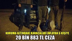 Koruma altındaki karacaları avlayan 6 kişiye 20 bin 883 TL para cezası