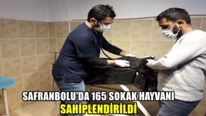 Safranbolu'da 165 sokak hayvanı sahiplendirildi