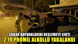 Sokak hayvanlarını beslemeye çıktı, 2.19 promil alkollü yakalandı