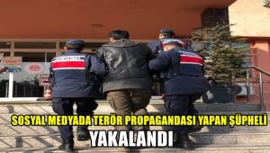 Sosyal medyada terör propagandası yapan 1 şüpheli yakalandı