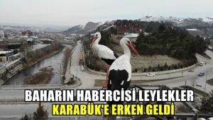 Baharın habercisi leylekler Karabük'e erken geldi