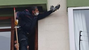 Balkondaki ağa takılan güvercini itfaiye kurtardı