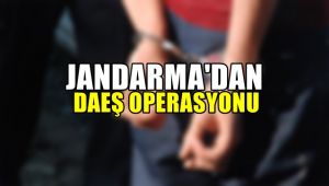 Jandarmadan DEAŞ operasyonu