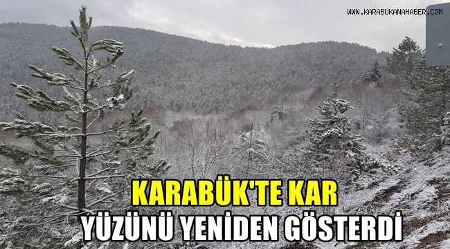 Karabük'te kar yüzünü yeniden gösterdi