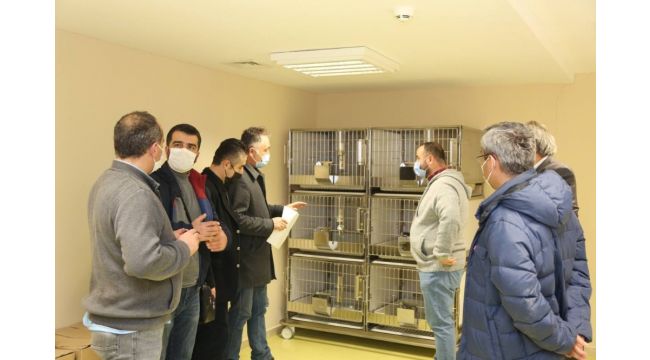 KBÜ DETUM ekibi 'MEDİTAM' ve 'REMER´de incelemelerde bulundu