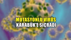 Mutasyonlu virüs Karabük'e sıçradı