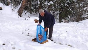 Safranbolu'da yaban hayvanları unutulmadı