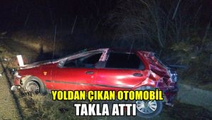 Yoldan çıkan otomobil takla attı : 1 yaralı