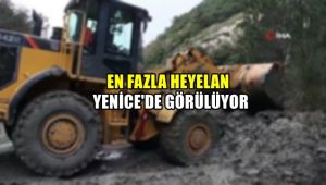 En fazla heyelan Yenice'de görülüyor