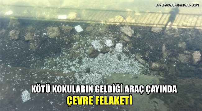 Kötü kokuların geldiği Araç Çayı'nda çevre felaketi