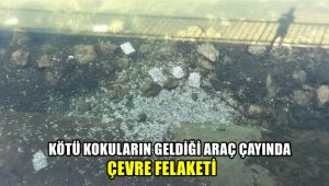 Kötü kokuların geldiği Araç Çayı'nda çevre felaketi