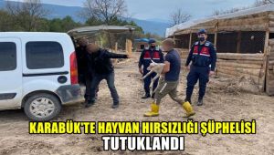 Karabük'te hayvan hırsızlığı şüphelisi tutuklandı