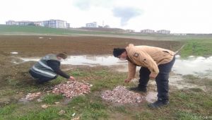 Karabük'ü mesken tutan leylekler için yiyecek bırakıldı