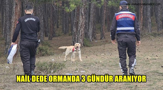 Nail dedeyi arama çalışmaları sürüyor
