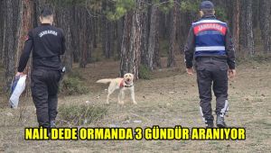 Nail dedeyi arama çalışmaları sürüyor