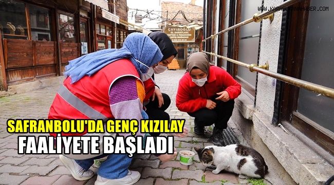 Safranbolu'dan Genç Kızılay faaliyete başladı