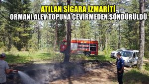 Atılan sigara izmariti ormanı alev topuna çevirmeden söndürüldü