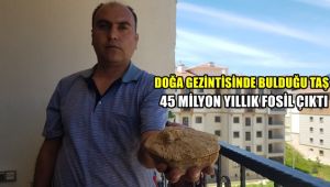 Doğa gezisinde bulduğu taş 45 milyon yıllık fosil çıktı