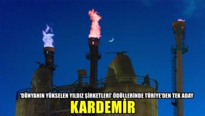'Dünyanın Yükselen Yıldız Şirketleri' ödüllerinde Türkiye'den tek aday: