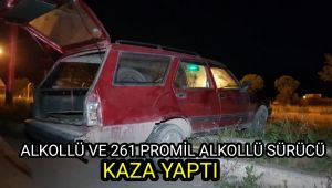 Ehliyetsiz ve 261 promil alkollü olan sürücü kaza yaptı : 2 yaralı
