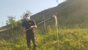 Havaların ısınması ile ortaya çıkan yılanlar vatandaşları tedirgin etti