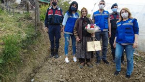 Karabük'te şehit anneleri