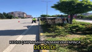 Kediye çarpmamak için manevra yapınca devrildi