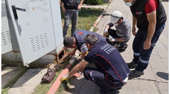 Trafoya giren yavru kedi için ekipler seferber oldu