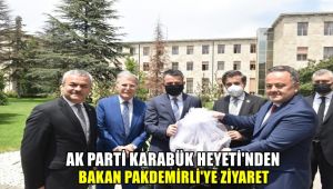 AK Parti Karabük heyetinden Bakan Pakdemirli'ye ziyaret
